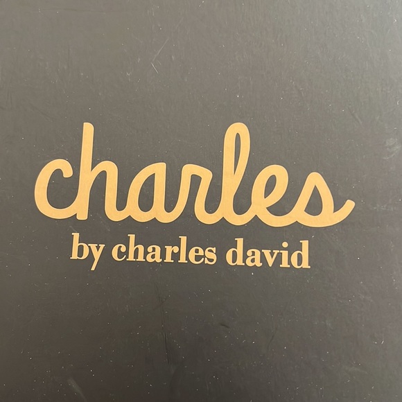 Charles By Charles David/ Latrice Wedges Sandals/ Silver - Picture 6 of 6